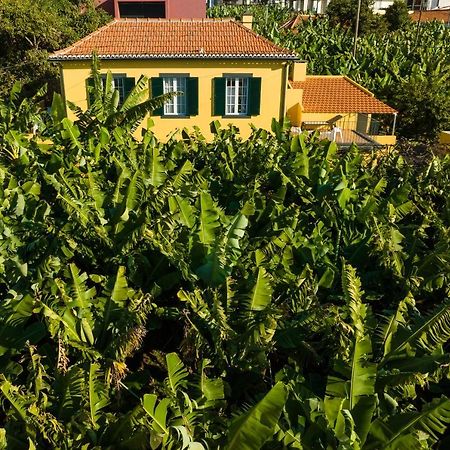 فيلا Casa D'Avo Celina فونشال المظهر الخارجي الصورة