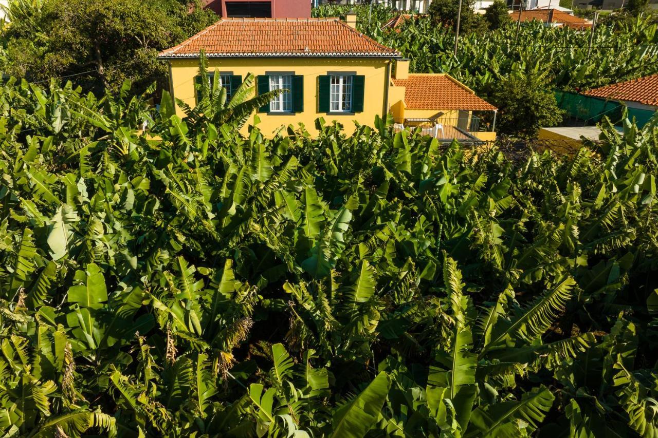 فيلا Casa D'Avo Celina فونشال المظهر الخارجي الصورة