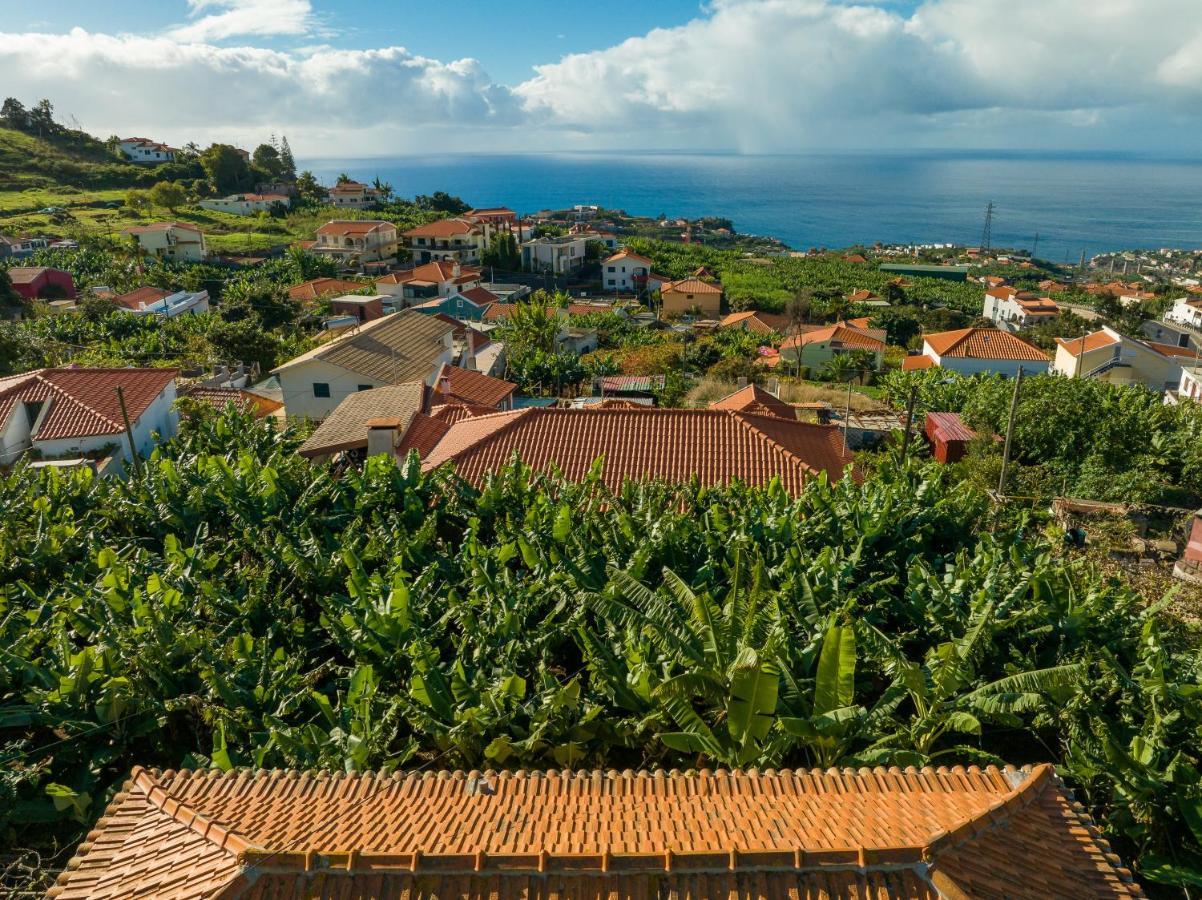 فيلا Casa D'Avo Celina فونشال المظهر الخارجي الصورة
